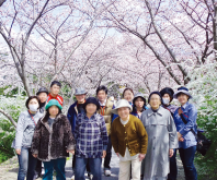 特別養護老人ホーム梅花苑で大和郡山市内に桜を見に行きました。